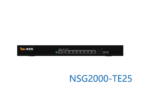 网神NSG2000-TE25奇安信新一代智慧防火墙