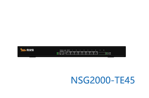 网神NSG2000-TE45奇安信新一代智慧防火墙