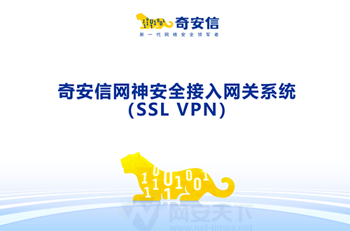 奇安信网神安全接入网关系统（SSL VPN）